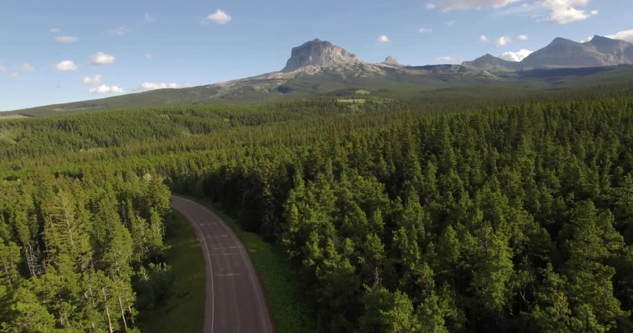 A road through a forest on a clear day