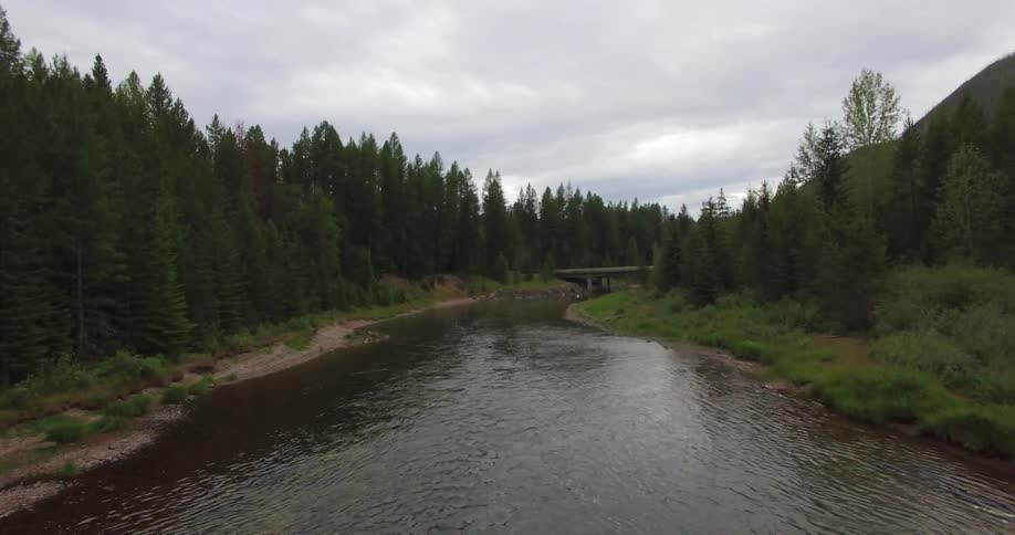 A river through a forest on a cloudy day