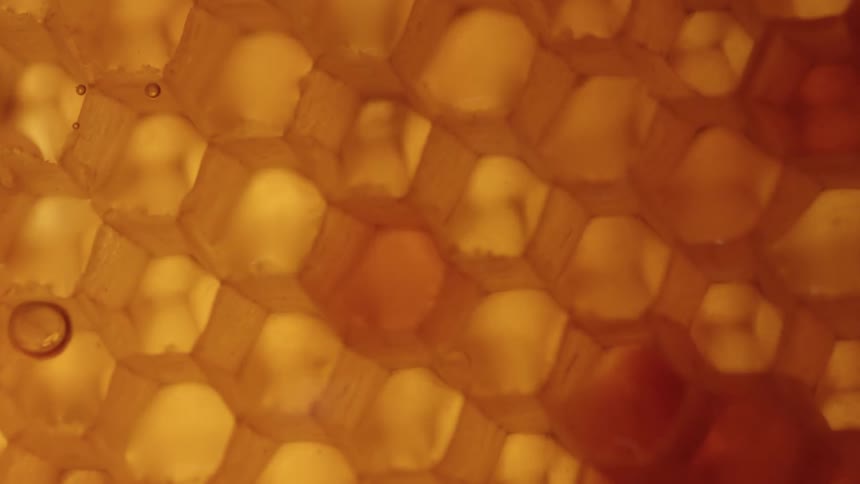 Hexagon patterns are displayed in a row