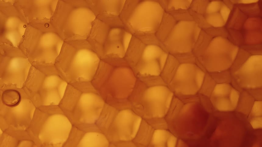 Exagonal structure of a honeycomb covered in honey