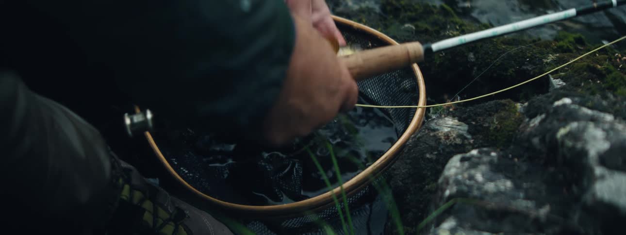 A person picking up a fish to show it off