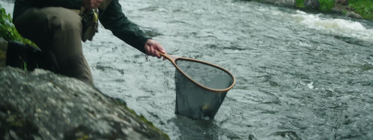 A man scooping a fish with a net