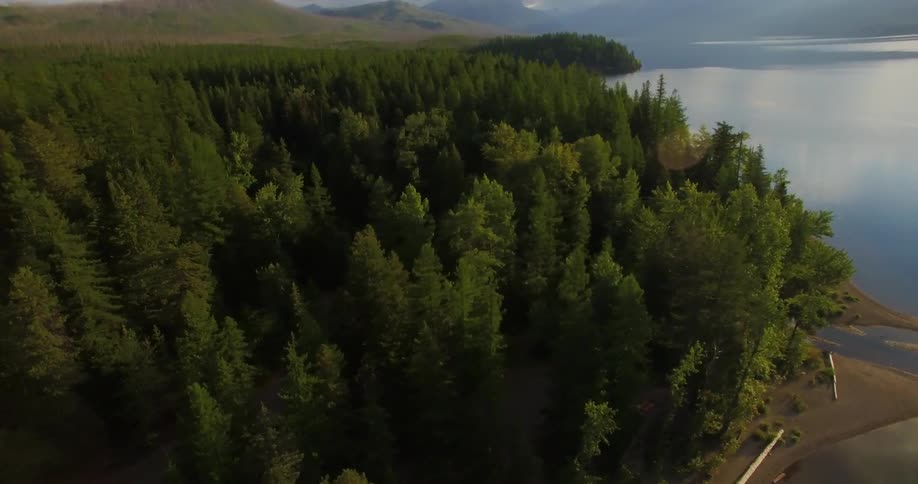 Tree Top Aerials