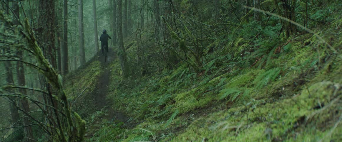 A man on a mountain bike hits a lush PNW trail in the fog