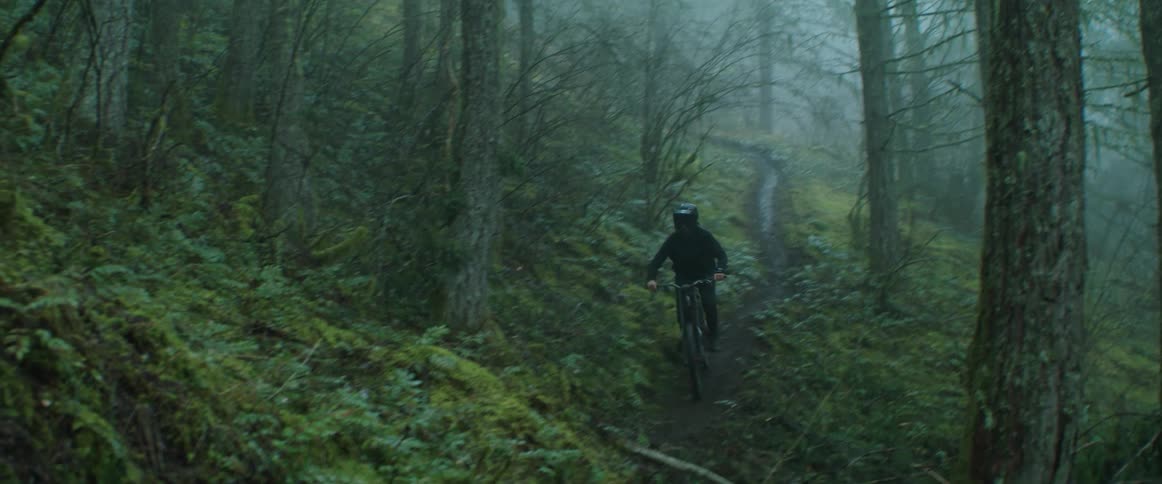 A person rides their mountain bike through the thick fog in the forest
