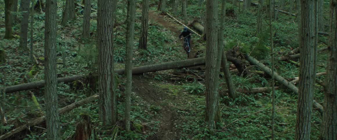 A cyclist riding a bicycle along a wooded trail hits a jump over a log