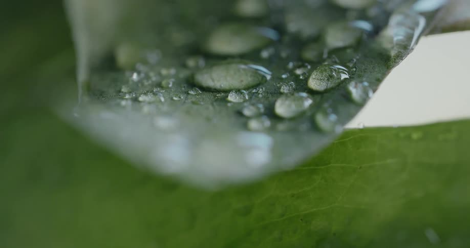 Liquid water bubbles