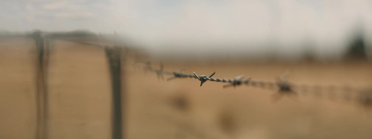 The barb wire fence shakes in the wind