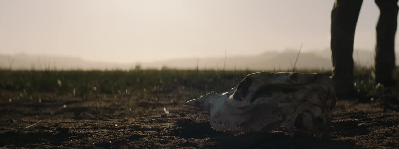 A person walking on a landscape with an animal skull on the ground with a mountain range the sky and clouds in the background