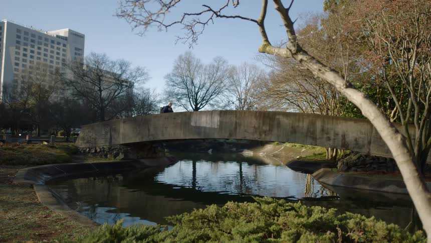A bridge over a river in a park