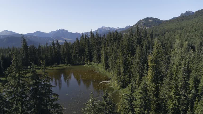 A small pond is nestled between the trees of a dense forest with a mountain range in the distance
