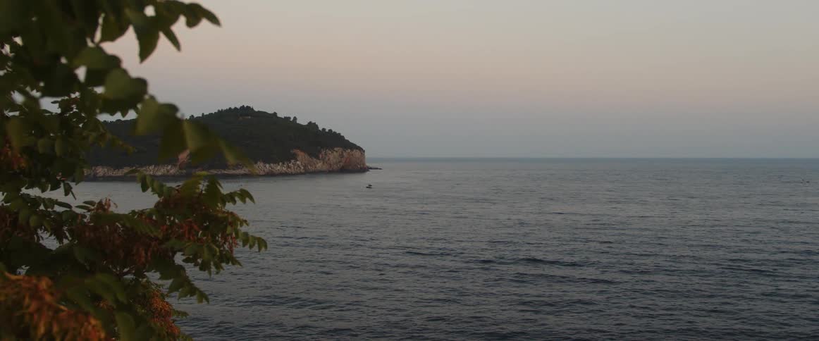 Trees grow on the cliffs overlooking an ocean