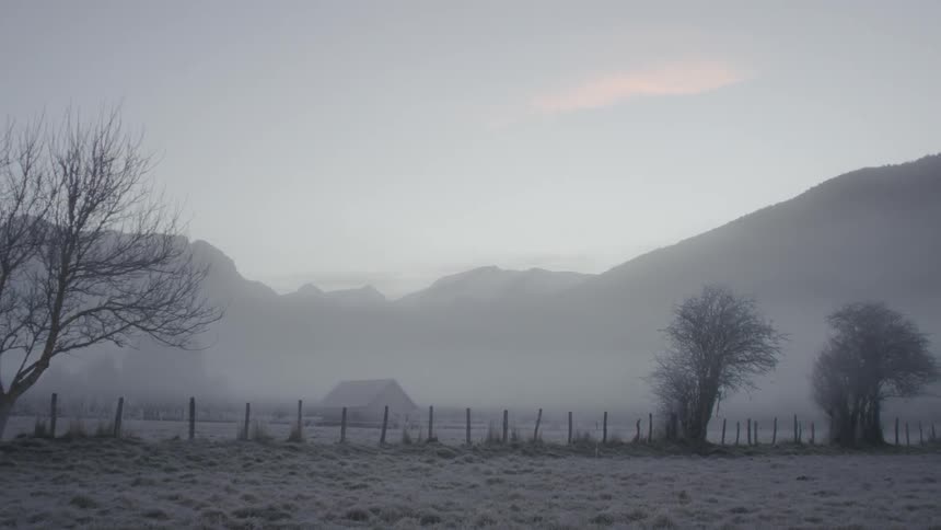 A fenced field covered with snow is foggy ahead