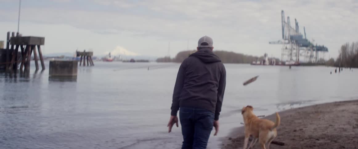 A man plays fetch with his dogs throwing a lag in the water
