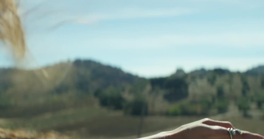 A woman is waving her arm and hand out an open window while moving down the road