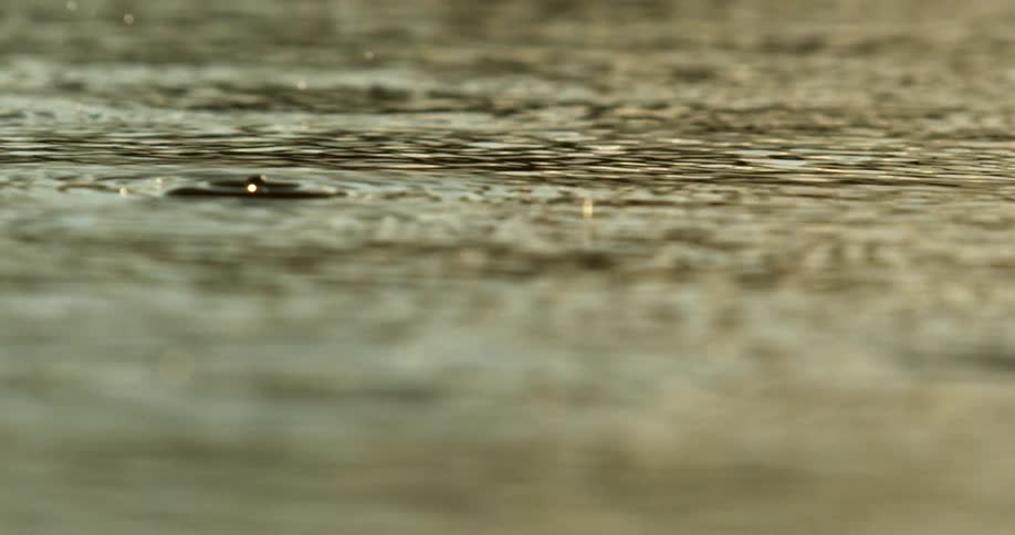 Raindrops falling into water and splashing