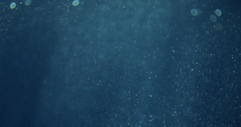 Small bubbles under the sea shimmer in beams of sunlight