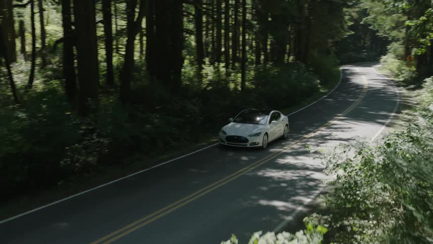 A car drives down a road lined with trees
