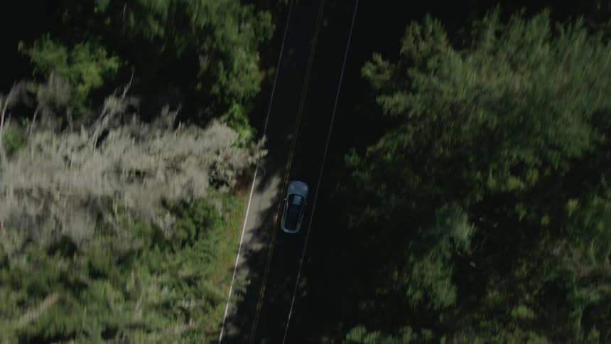 A white car drives down a road through the forest