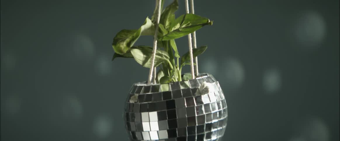 A small plant is in a hanging pot that has mirrors like a disco ball