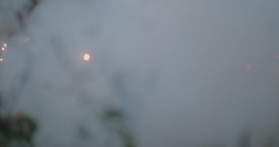 A pumpkin is exploded outdoors at dusk and the screen fills with sparks and smoke