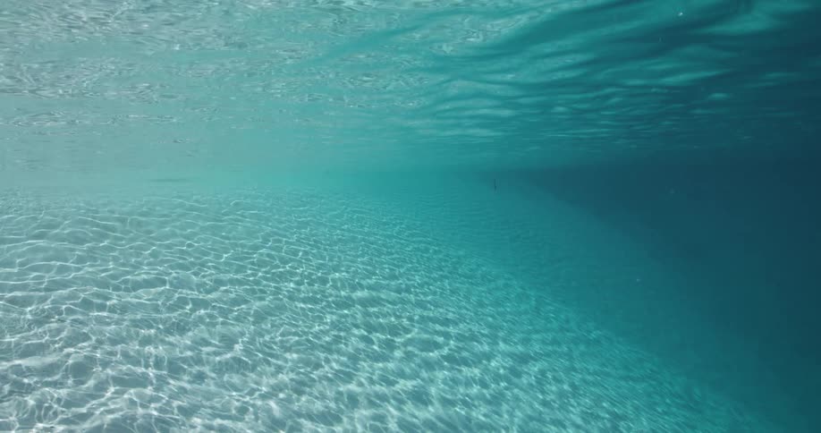 Clear blue ocean water is filmed from underwater as the surface ripples overhead