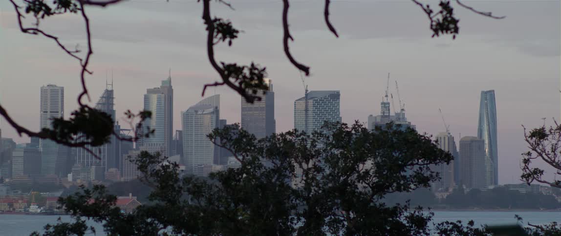 Branches on a tree obscure a city skyline across the river