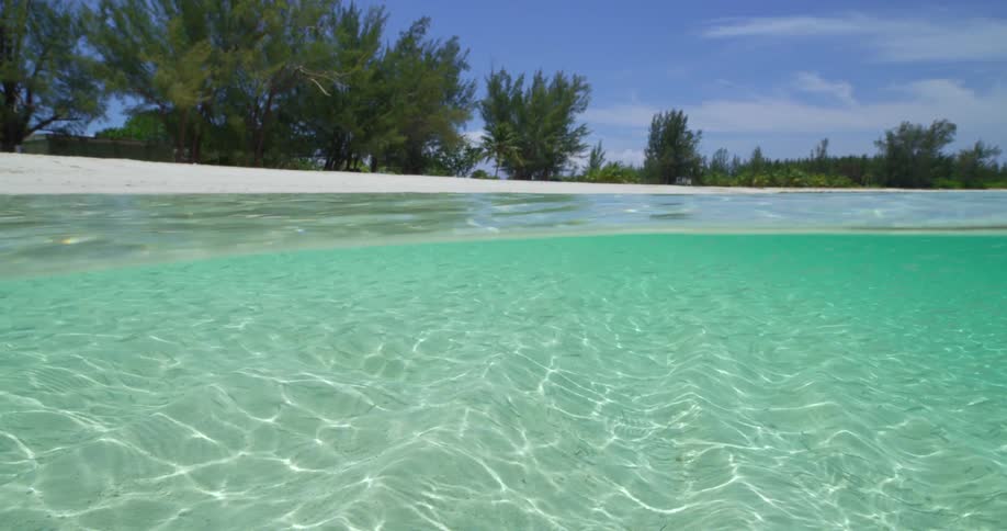 The clear water meets the white sand