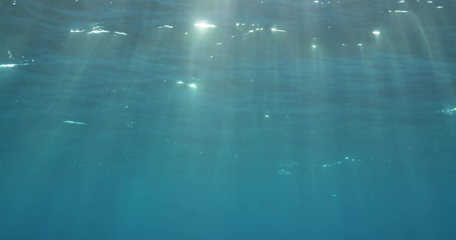 Sunlight streams down through breaks in the waves
