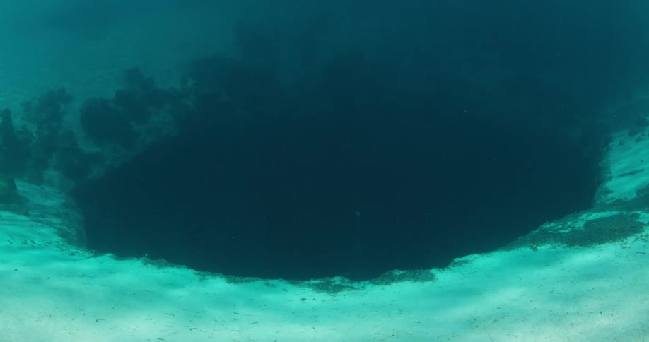 Fish swim out of mouth of underwater tunnel in seafloor