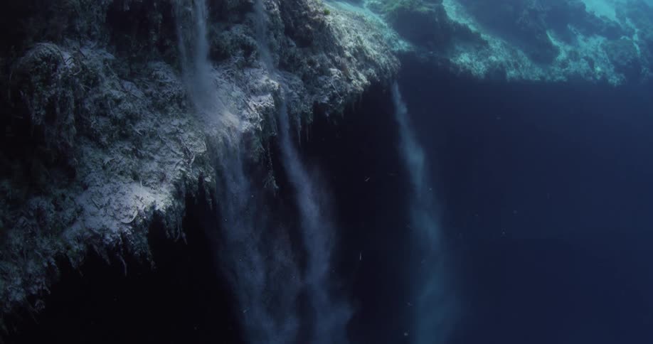 A fish swims above a large coral reef that drops to a deep depth