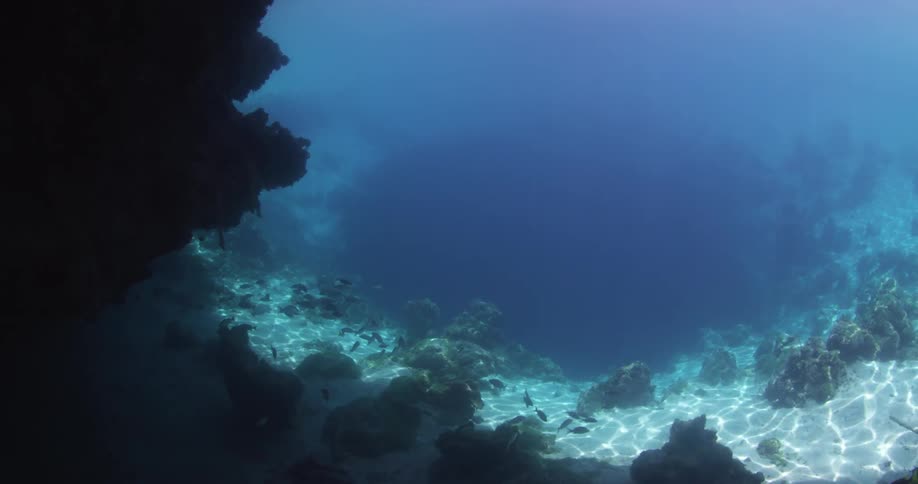 Fish swim around the entrance to a Blue Hole