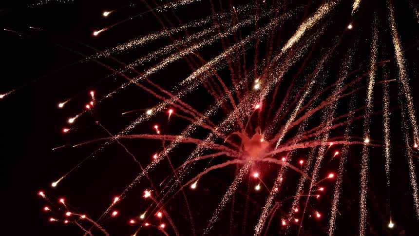 Fireworks exploding in the night sky