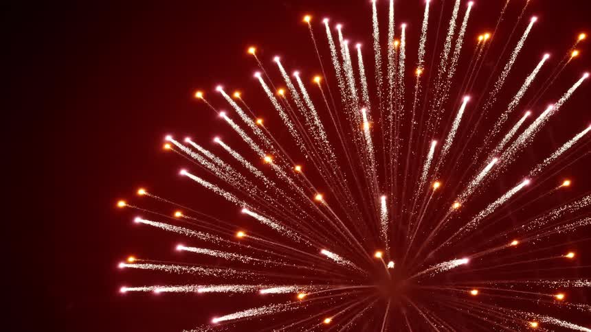 Fireworks exploding in the night sky