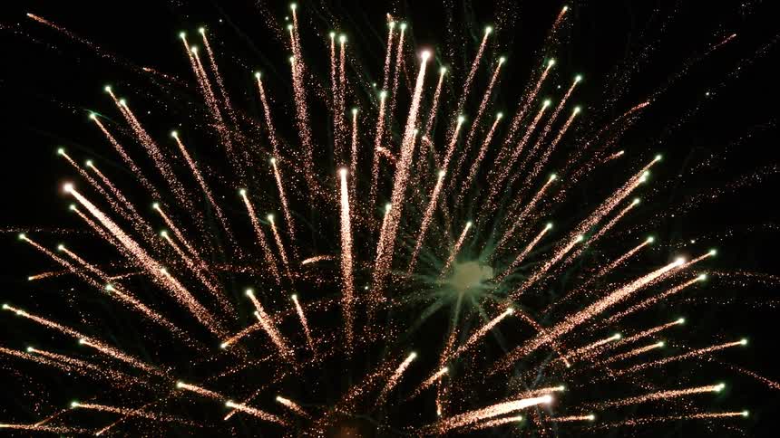 Fireworks explode and spread across black sky