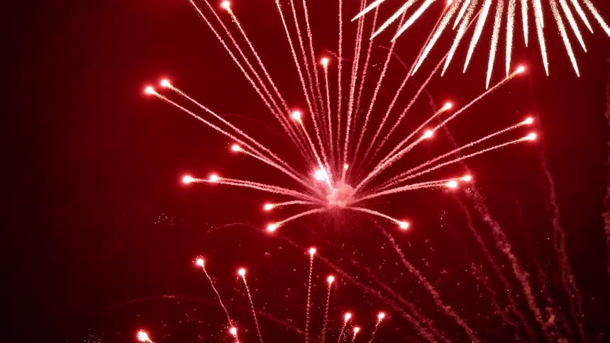 Multiple fireworks explode in the night sky