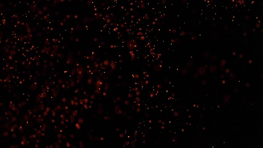 Orange flames and embers against a black background