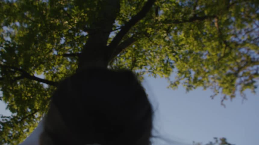 A woman with arms and hands raised up to the sky and green trees