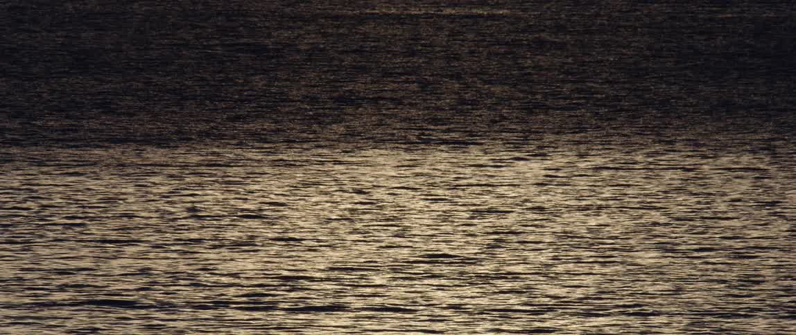 The water is covered in a partial shadow