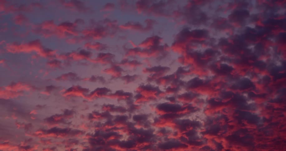 Bright pink and purple clouds are floating in a blue sky
