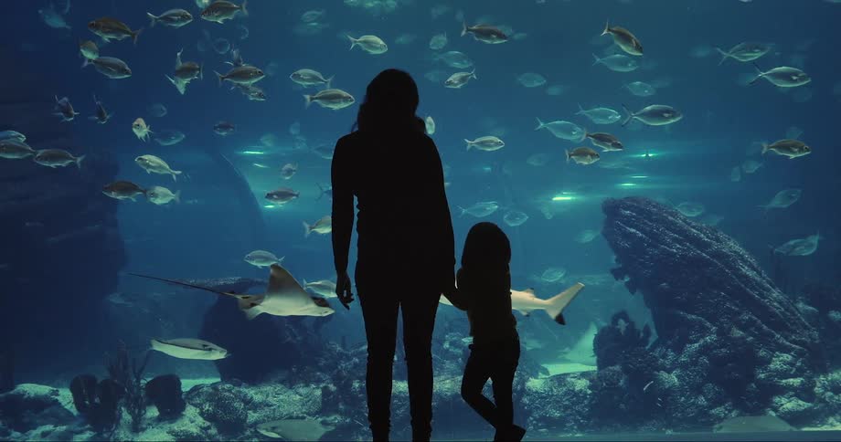 Silhouette of a mother and child standing in front of an aquarium watching the fish swimming