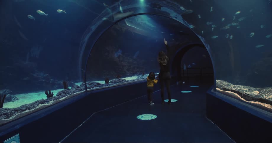 Mother and child are standing in a tunnel of an aquarium watching the fish swimming