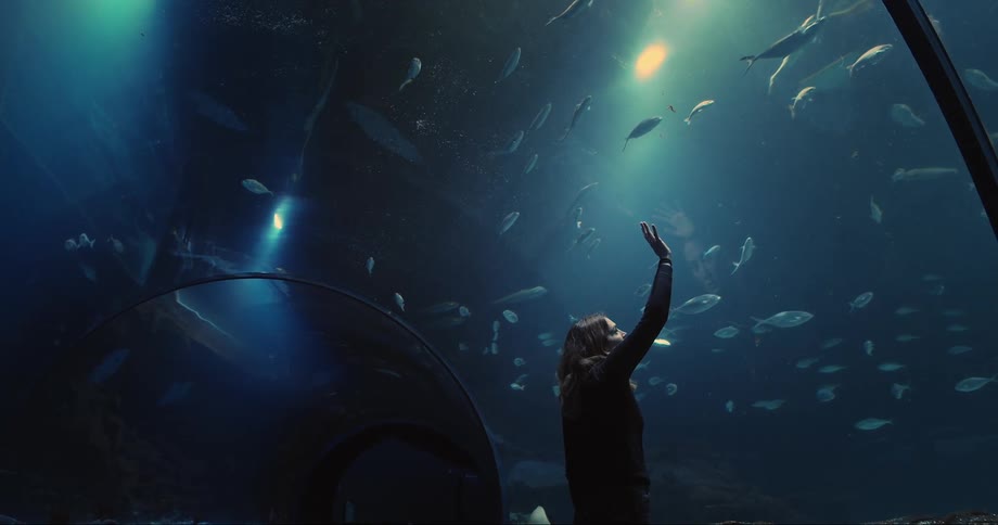 Woman with brown wavy hair touches the aquarium glass and watches the fish