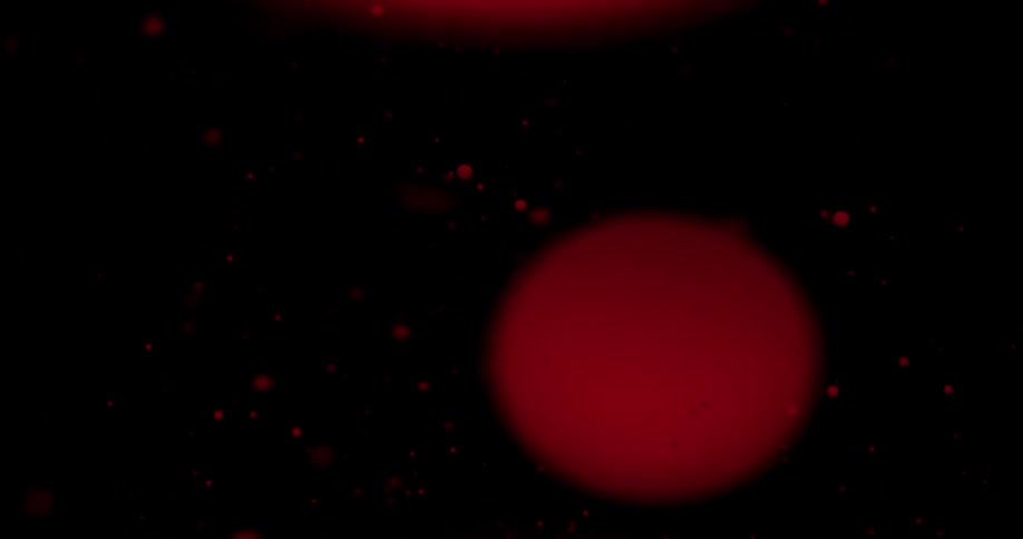 Abstract red spheres move in the liquid