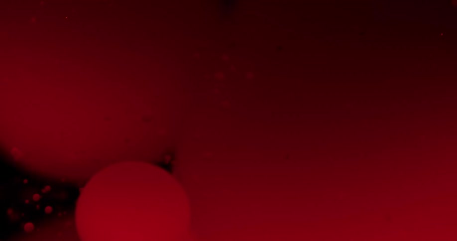 Droplets of a red liquid are suspended in a clearer fluid in this surreal video
