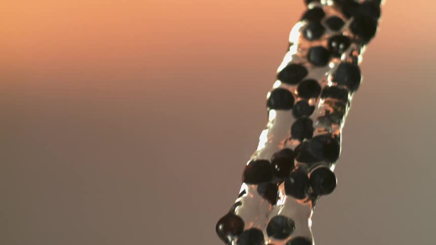 A close up of liquid falling
