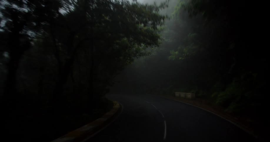 Dense fog and looming trees obscure vision on a narrow road