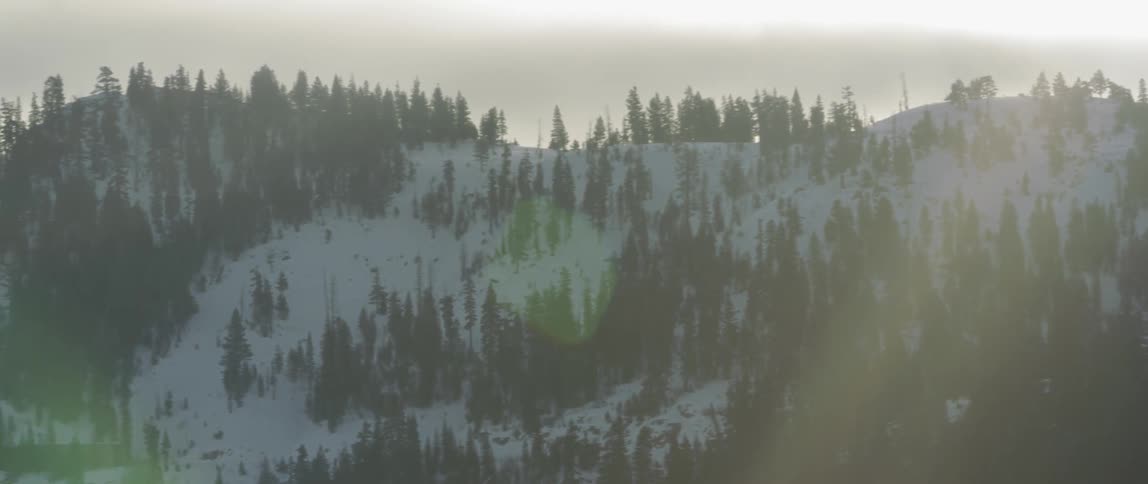 A snowy, wooded hill
