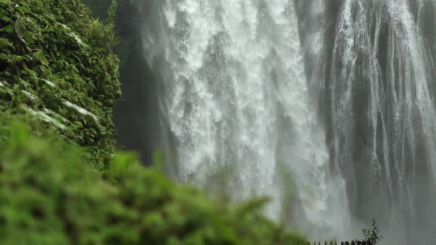 Plants grass and leaves in the foreground with a waterfall in the background