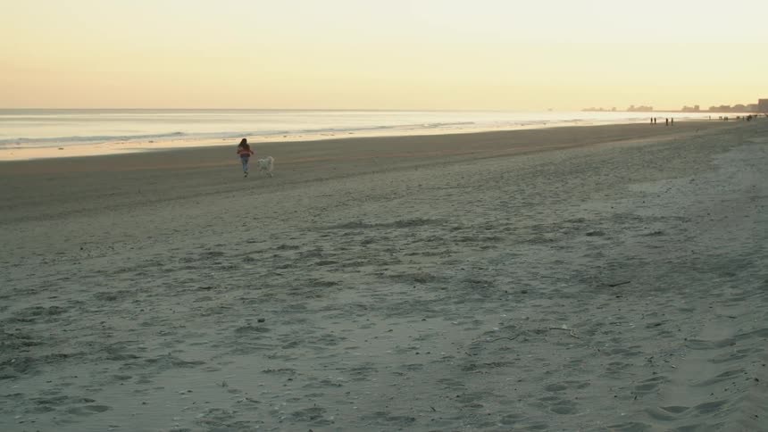A woman in a dog on a beach with the ocean sky and clouds in the background